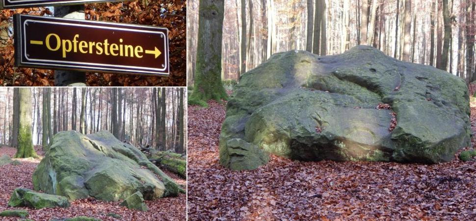 Fewo Charlotte Horn-Bad Meinberg Zewnętrze zdjęcie